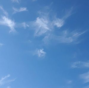 Meet your Posher, Niki